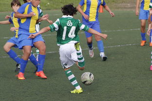 星空体育-中国足球亚冠：上海申花逆转晋级，燃爆现场热潮，亚冠小组赛上海申花